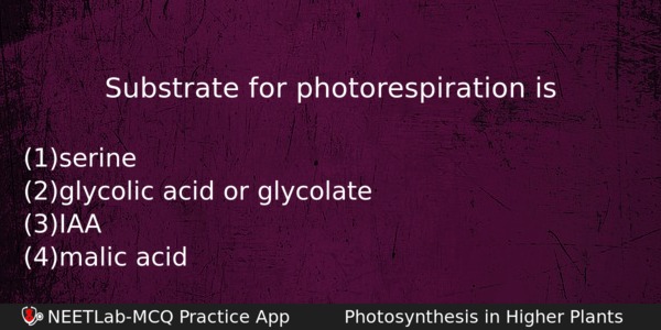 Substrate For Photorespiration Is Biology Question 