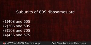 Subunits Of 80s Ribosomes Are Biology Question