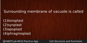 Surrounding Membrane Of Vacuole Is Called Biology Question