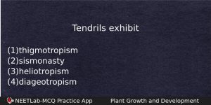 Tendrils Exhibit Biology Question