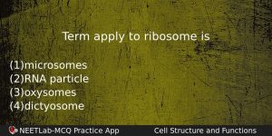 Term Apply To Ribosome Is Biology Question