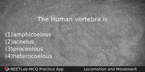 The Human Vertebra Is Biology Question