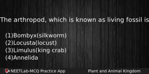 The Arthropod Which Is Known As Living Fossil Is Biology Question