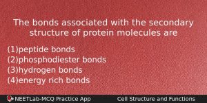 The Bonds Associated With The Secondary Structure Of Protein Molecules Biology Question