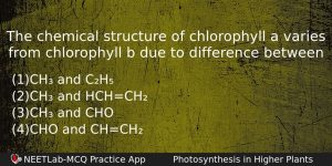 The Chemical Structure Of Chlorophyll A Varies From Chlorophyll B Biology Question