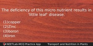 The Deficiency Of This Micro Nutrient Results In Little Leaf Biology Question