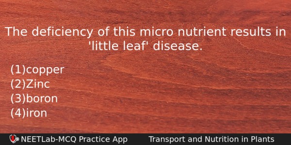 The Deficiency Of This Micro Nutrient Results In Little Leaf Biology Question 