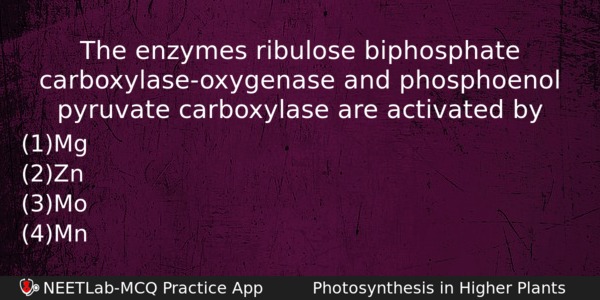 The Enzymes Ribulose Biphosphate Carboxylaseoxygenase And Phosphoenol Pyruvate Carboxylase Are Biology Question 