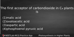 The First Acceptor Of Carbondioxide In C Plants Is Biology Question
