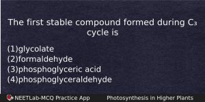 The First Stable Compound Formed During C Cycle Is Biology Question