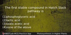 The First Stable Compound In Hatch Slack Pathway Is Biology Question