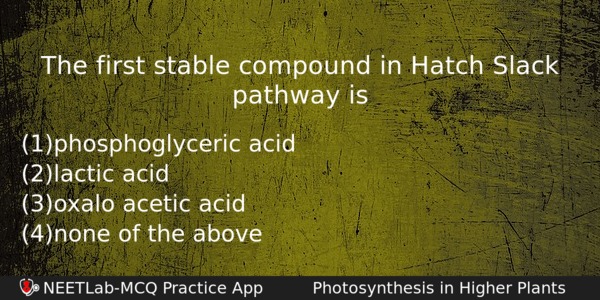 The First Stable Compound In Hatch Slack Pathway Is Biology Question 