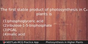 The First Stable Product Of Photosynthesis In C Plants Is Biology Question