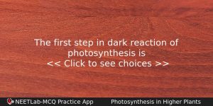 The First Step In Dark Reaction Of Photosynthesis Is Biology Question