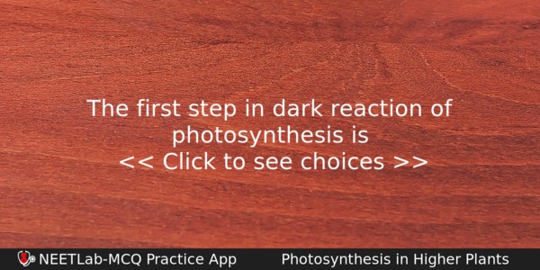 The First Step In Dark Reaction Of Photosynthesis Is Biology Question 