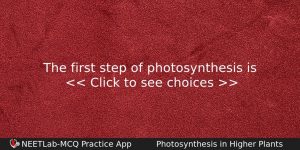 The First Step Of Photosynthesis Is Biology Question