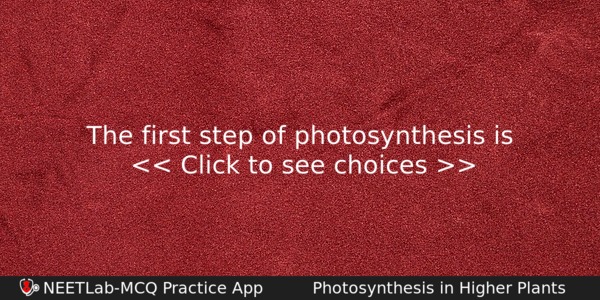 The First Step Of Photosynthesis Is Biology Question 