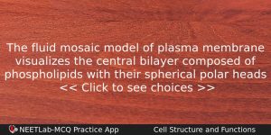 The Fluid Mosaic Model Of Plasma Membrane Visualizes The Central Biology Question