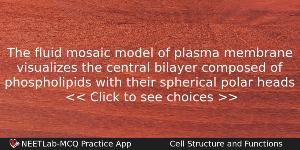 The Fluid Mosaic Model Of Plasma Membrane Visualizes The Central Biology Question 