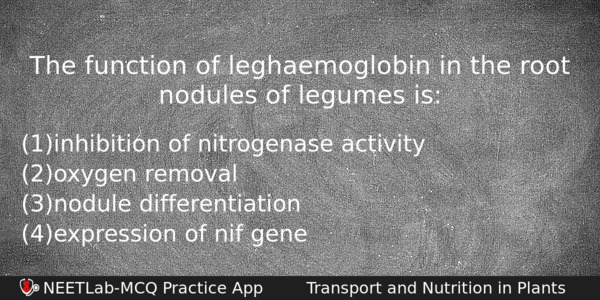 The Function Of Leghaemoglobin In The Root Nodules Of Legumes Biology Question 