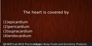 The Heart Is Covered By Biology Question