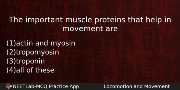 The Important Muscle Proteins That Help In Movement Are Biology Question 