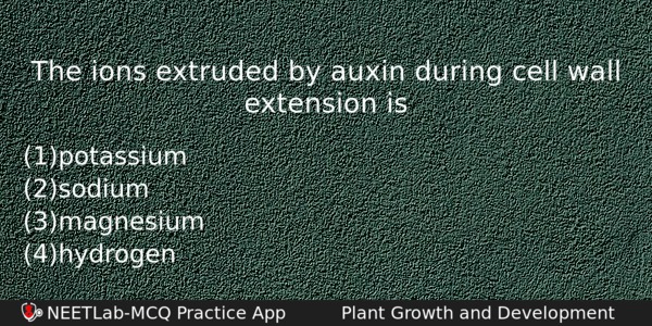 The Ions Extruded By Auxin During Cell Wall Extension Is Biology Question 