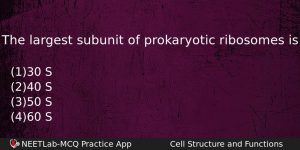 The Largest Subunit Of Prokaryotic Ribosomes Is Biology Question