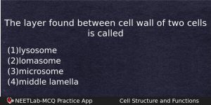 The Layer Found Between Cell Wall Of Two Cells Is Biology Question