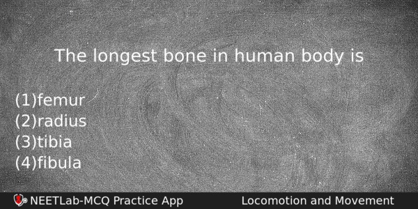 The longest bone in human body is - NEETLab