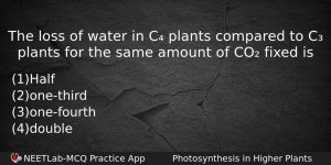 The Loss Of Water In C Plants Compared To C Biology Question