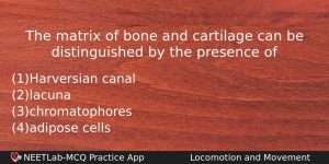 The Matrix Of Bone And Cartilage Can Be Distinguished By Biology Question