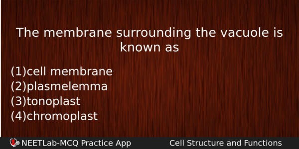 The Membrane Surrounding The Vacuole Is Known As Biology Question 