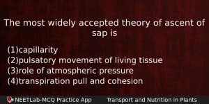 The Most Widely Accepted Theory Of Ascent Of Sap Is Biology Question