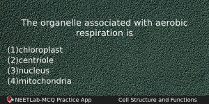 The Organelle Associated With Aerobic Respiration Is Biology Question