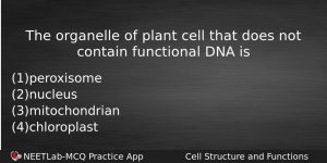 The Organelle Of Plant Cell That Does Not Contain Functional Biology Question