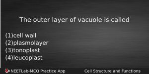 The Outer Layer Of Vacuole Is Called Biology Question