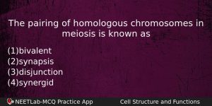 The Pairing Of Homologous Chromosomes In Meiosis Is Known As Biology Question
