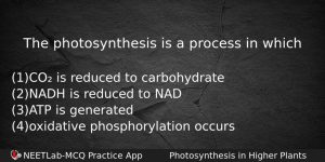 The Photosynthesis Is A Process In Which Biology Question