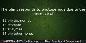The Plant Responds To Photoperiods Due To The Presence Of Biology Question