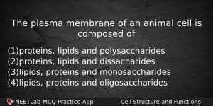 The Plasma Membrane Of An Animal Cell Is Composed Of Biology Question