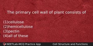 The Primary Cell Wall Of Plant Consists Of Biology Question