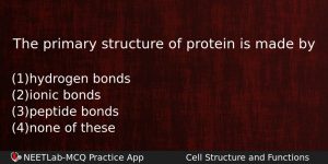 The Primary Structure Of Protein Is Made By Biology Question