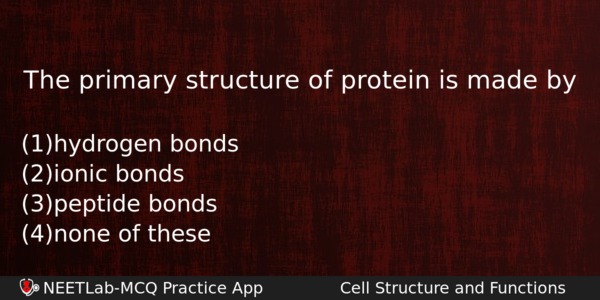 The Primary Structure Of Protein Is Made By Biology Question 