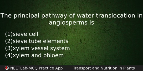 The Principal Pathway Of Water Translocation In Angiosperms Is Biology Question 