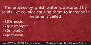 The Process By Which Water Is Absorbed By Solids Like Biology Question