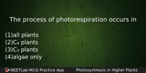 The Process Of Photorespiration Occurs In Biology Question