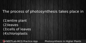 The Process Of Photosynthesis Takes Place In Biology Question