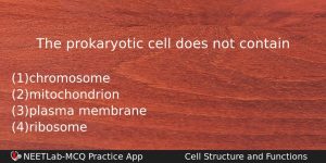 The Prokaryotic Cell Does Not Contain Biology Question