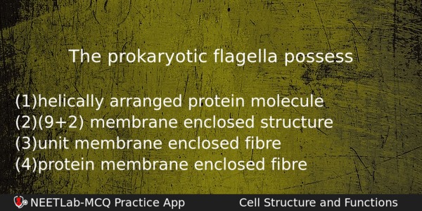 The Prokaryotic Flagella Possess Biology Question 
